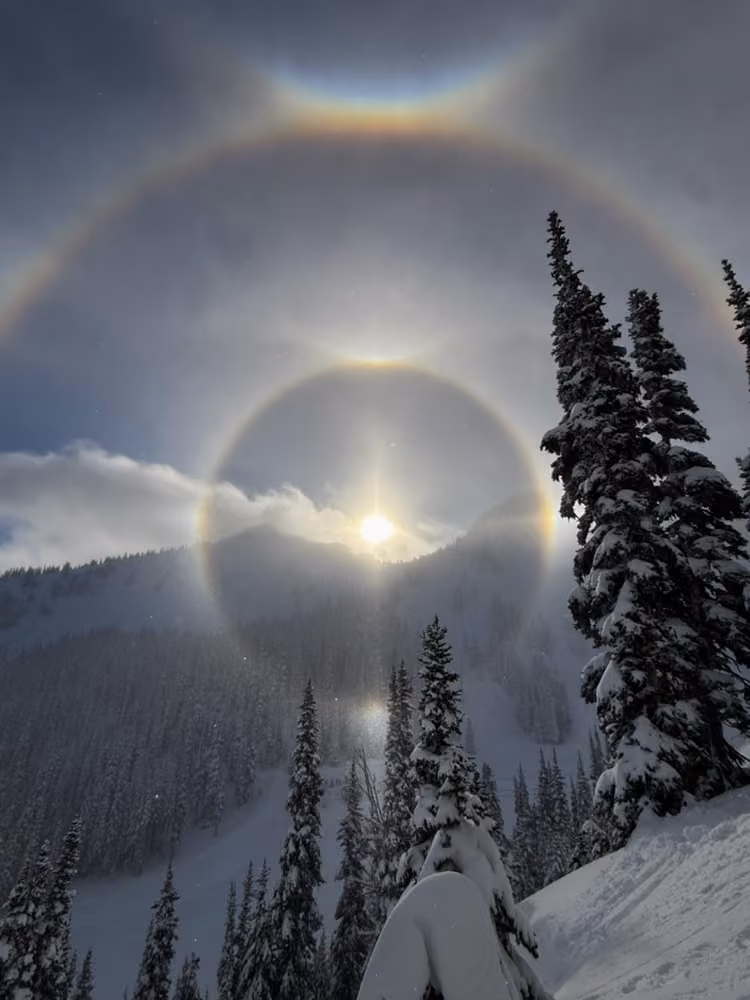A ring halo around the sun above snowy mountain pines