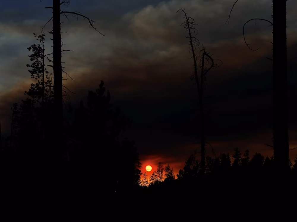 A red sun glowing through smoke behind the trees